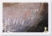 14SerengetiDayGameDrive - 029 * Before Masai were removed from the Serengeti, this was a place of shelter. The rock art is estimated to be 50 years old.